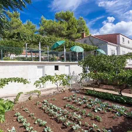 Apartamento Holiday Stone Garden- Holiday With Terrace And Garden View Doli